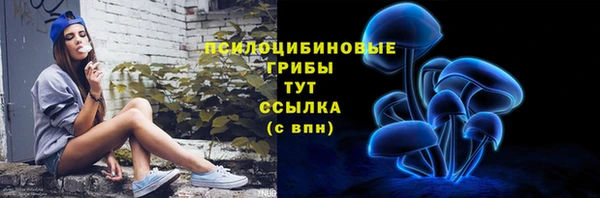 гидра Алзамай