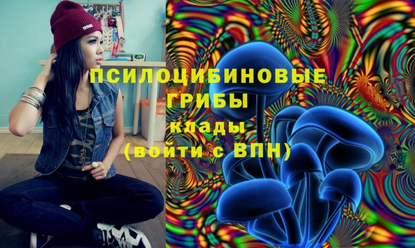 spice Алексин