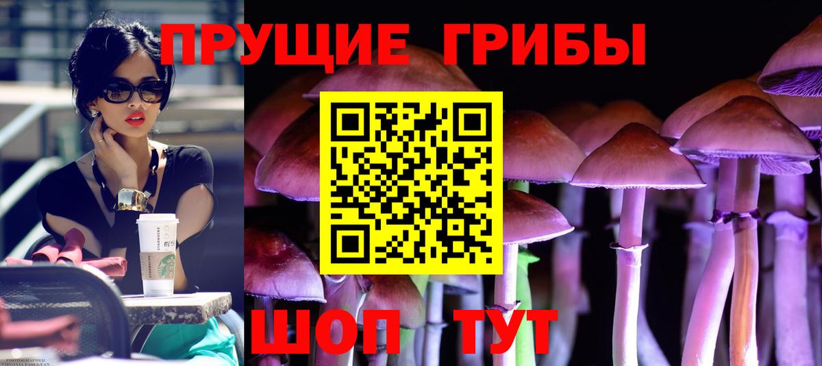 Псилоцибиновые грибы мицелий Десногорск